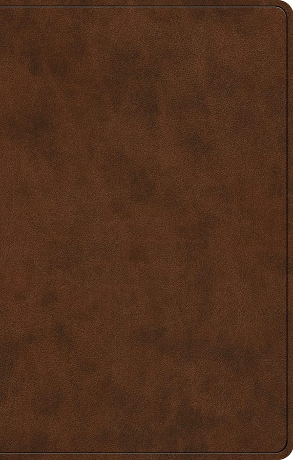 Cover image for ESV Premium Gift Bible, Red Letter (Trutone, Brown), isbn: 9798874903237