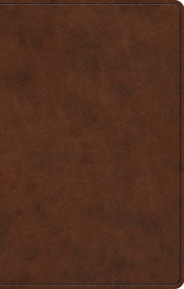 Cover image for ESV Premium Gift Bible, Red Letter (Trutone, Brown), isbn: 9798874903237