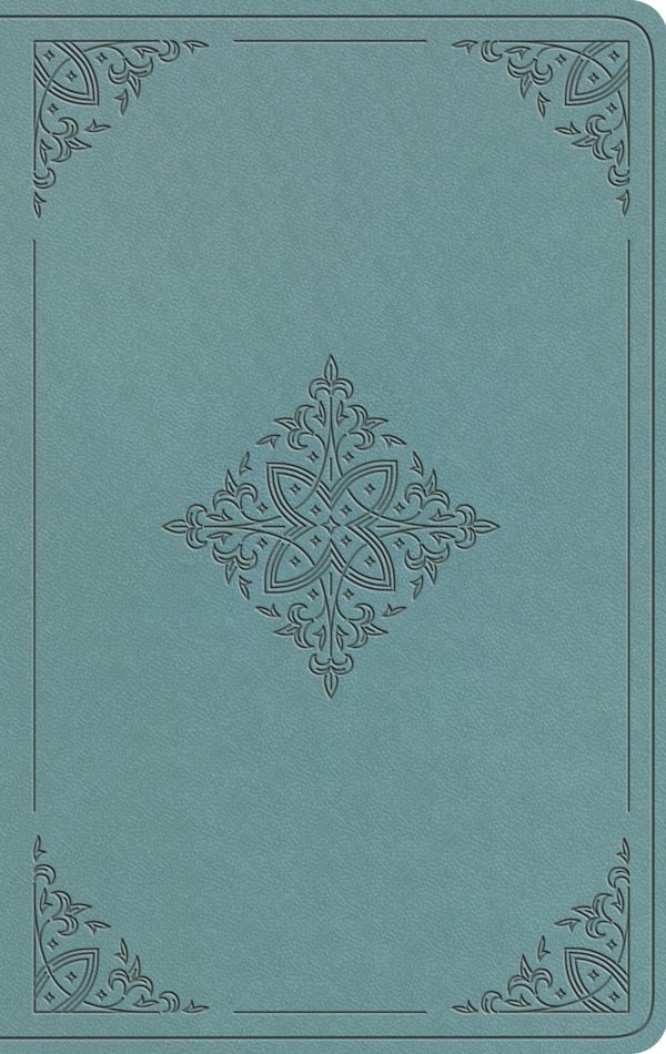 Cover image for ESV Value Thinline Bible (Trutone, Paris Sky, Fleur-De-Lis Design), isbn: 9798874903367