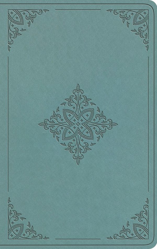 Cover image for ESV Value Thinline Bible (Trutone, Paris Sky, Fleur-De-Lis Design), isbn: 9798874903367