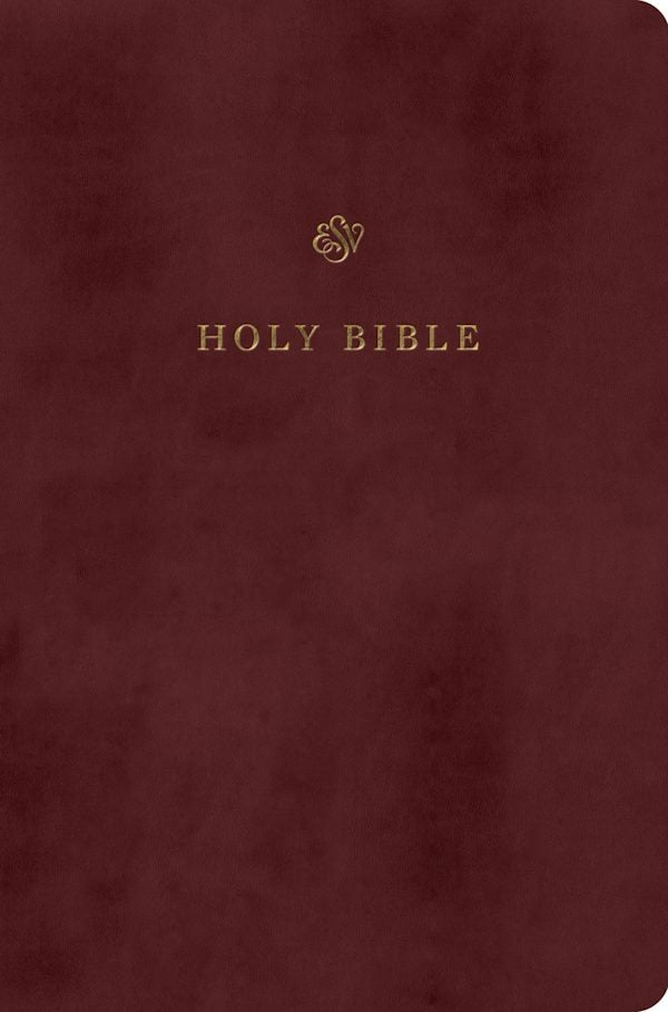 Cover image for ESV Gift and Award Bible (Trutone, Burgundy), isbn: 9798874903510