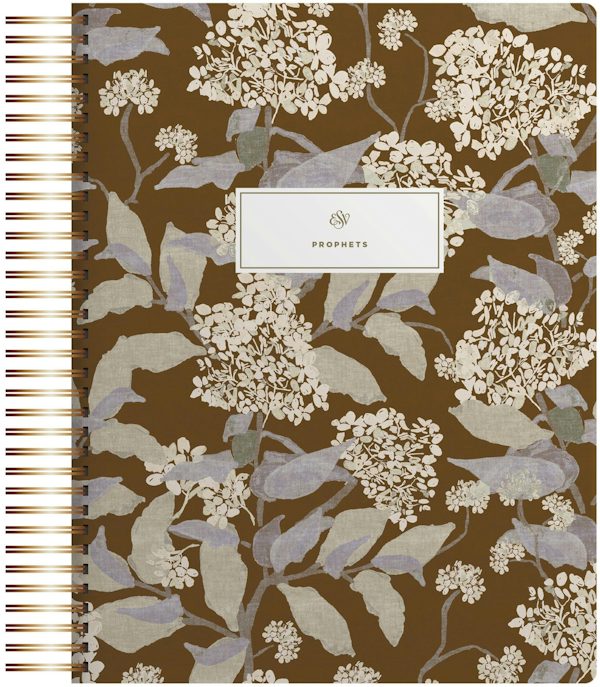 Cover image for ESV Spiral-Bound Journaling Bible, Prophets (Hardcover, Cover Artwork by Lulie Wallace), isbn: 9798874903701