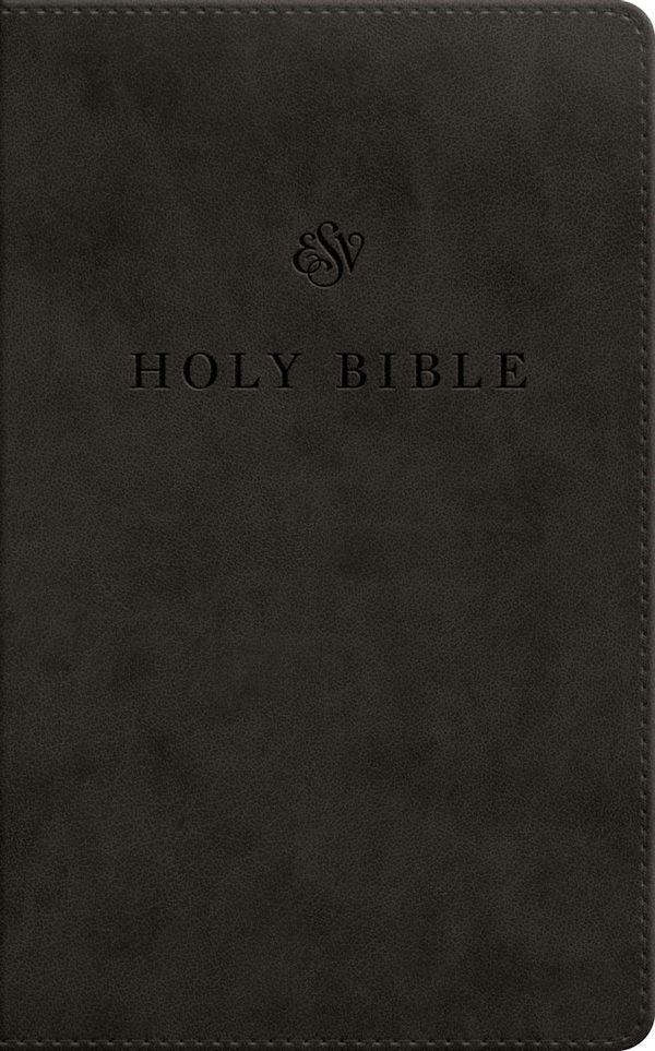 Cover image for ESV Premium Church Bible, Large Print, Red Letter (Trutone, Black), isbn: 9798874904043