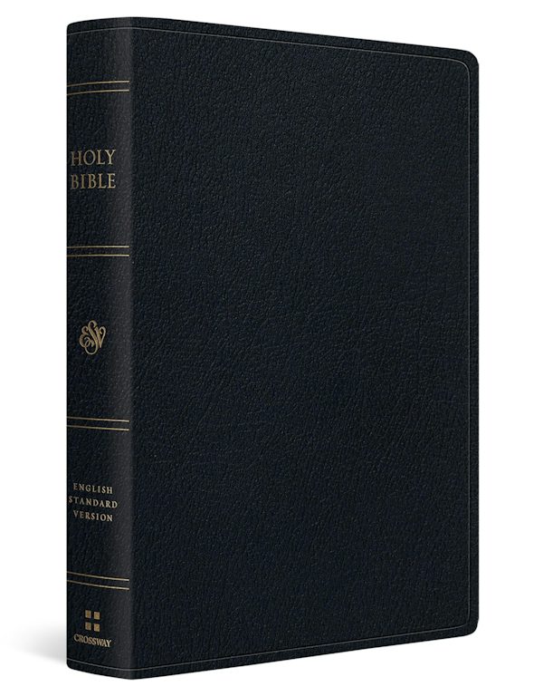 Cover image for ESV Giant Print Thinline Bible, Red Letter (Genuine Leather, Black), isbn: 9798874906313
