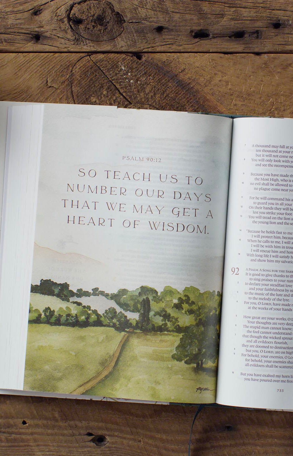 An interior image of the Gracelaced Bible, featuring an artwork of Psalm 90:12 "So teach us to number our days that we may get a heart of wisdom." Below, a watercolor image of a brown dirt path winds away into the horizon of green trees.