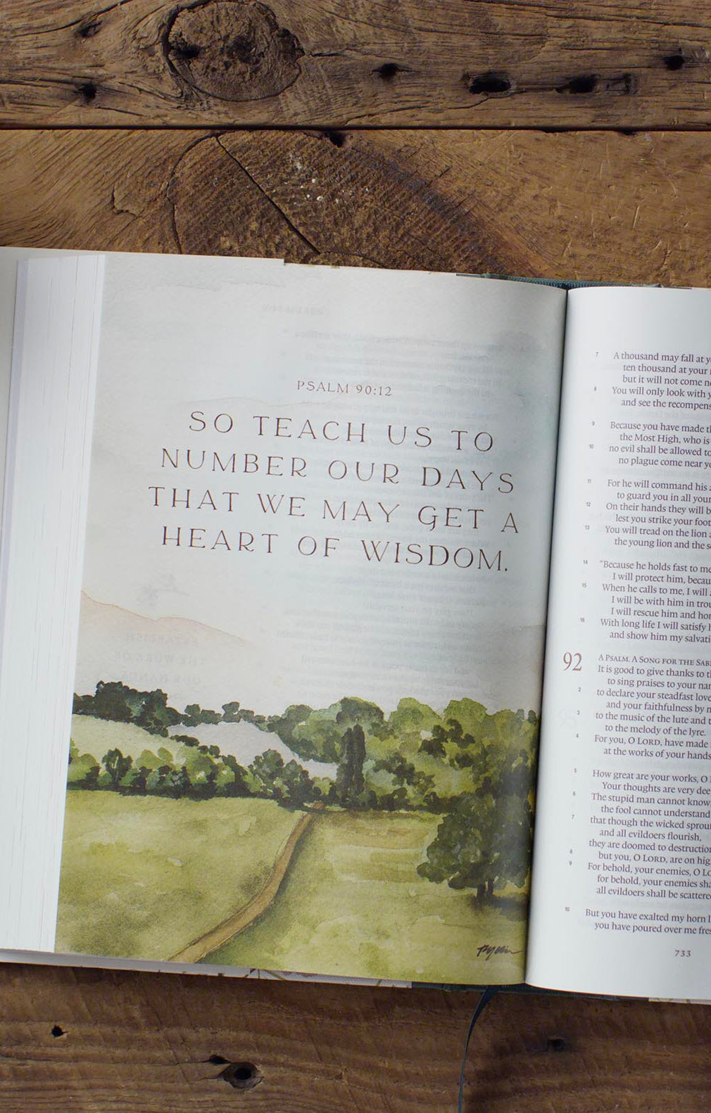An interior image of the Gracelaced Bible, featuring an artwork of Psalm 90:12 "So teach us to number our days that we may get a heart of wisdom." Below, a watercolor image of a brown dirt path winds away into the horizon of green trees.