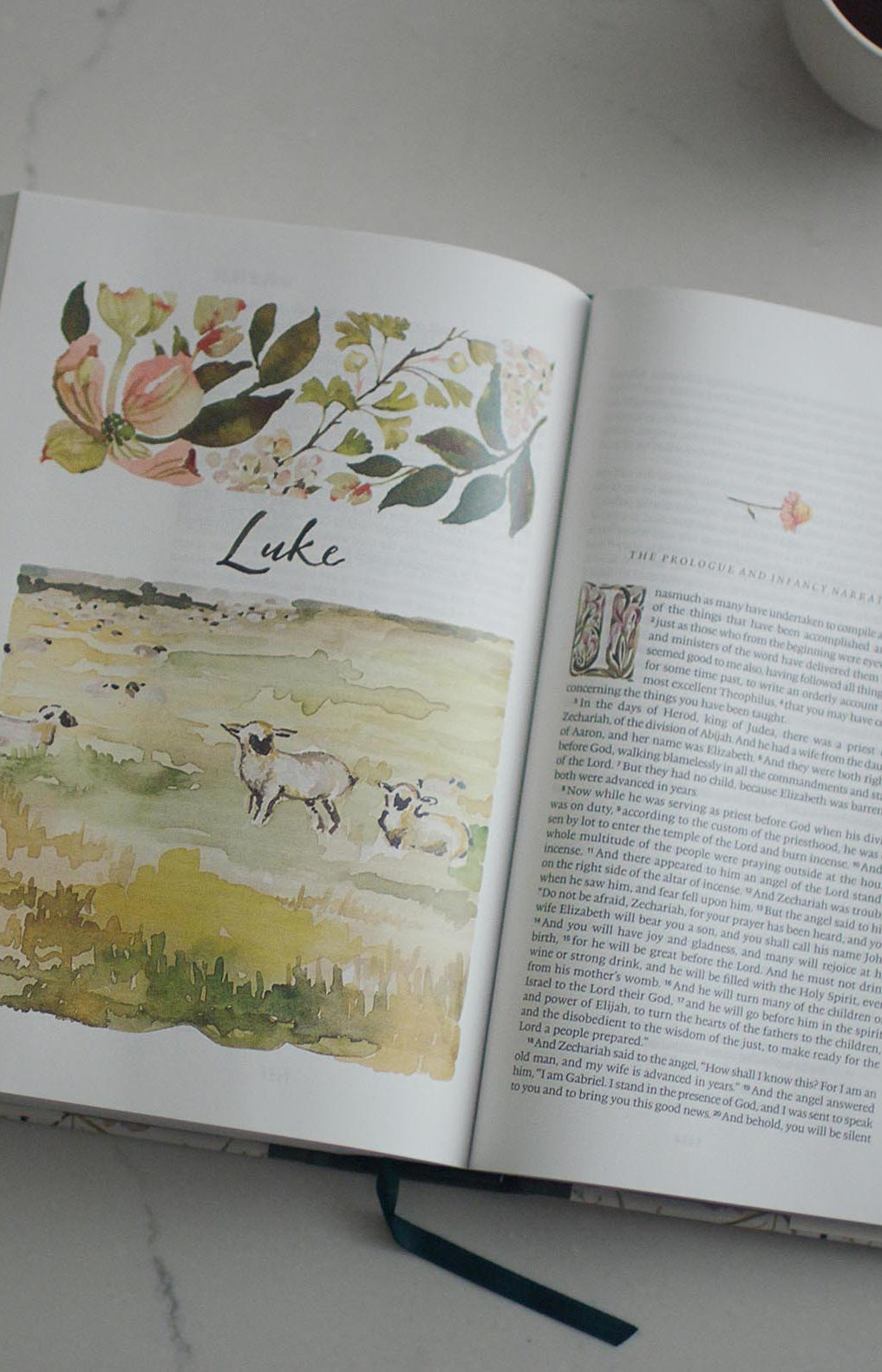 An interior image of the GraceLaced Bible, looking at the first page of Luke. A watercolor image of white and black sheep dot a serene meadow.