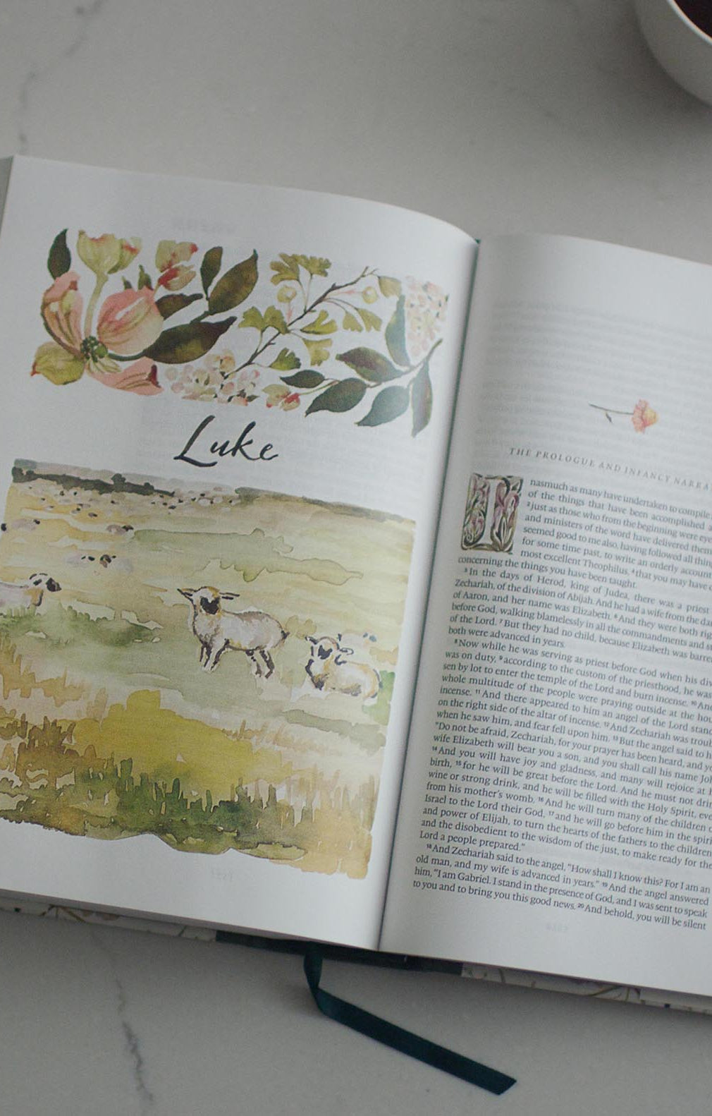 An interior image of the GraceLaced Bible, looking at the first page of Luke. A watercolor image of white and black sheep dot a serene meadow.