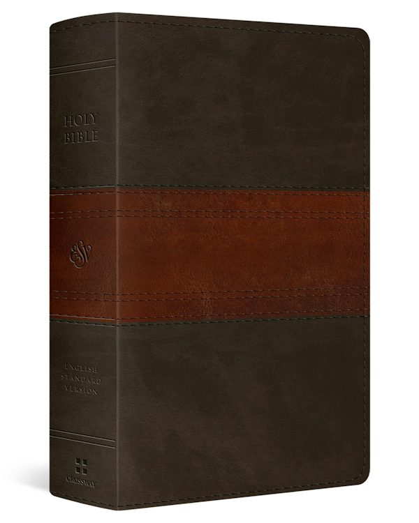Cover image for ESV Large Print Personal Size Bible, Red Letter (Trutone, Forest/Tan, Trail Design), isbn: 9798874906450