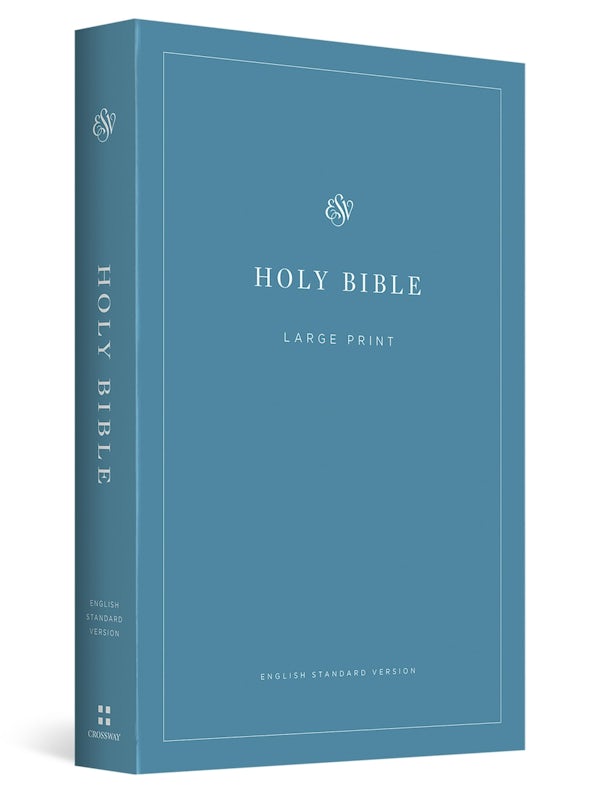 Cover image for ESV Economy Bible, Large Print (Paperback), isbn: 9798874906481
