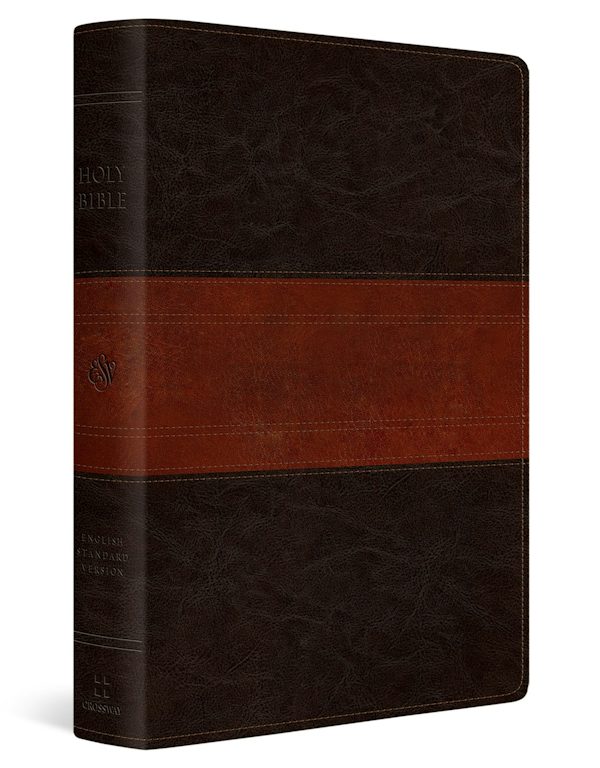 Cover image for ESV Giant Print Personal Size Bible, Red Letter (Trutone, Forest/Tan, Trail Design), isbn: 9798874906559
