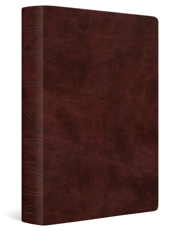 Cover image for ESV Giant Print Personal Size Bible, Red Letter (Trutone, Mahogany), isbn: 9798874906573
