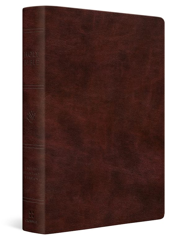 Cover image for ESV Giant Print Personal Size Bible, Red Letter (Trutone, Mahogany), isbn: 9798874906573