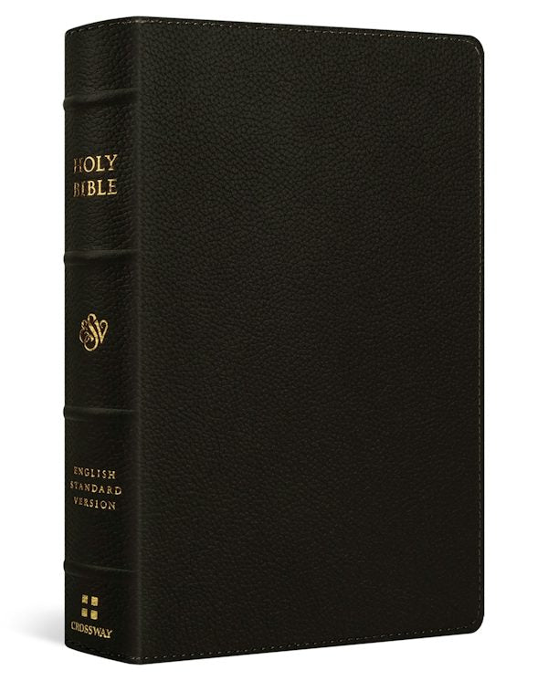 Cover image for ESV Giant Print Personal Size Bible, Red Letter (Buffalo Leather, Deep Brown), isbn: 9798874906597