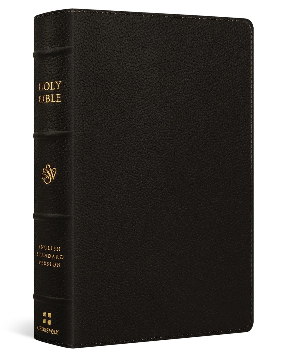 Cover image for ESV Giant Print Personal Size Bible, Red Letter (Buffalo Leather, Deep Brown), isbn: 9798874906597