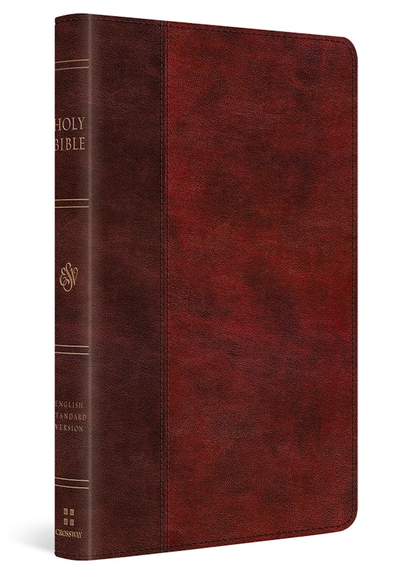 Cover image for ESV Large Print Thinline Bible (Trutone, Burgundy/Red, Timeless Design), isbn: 9798874906696