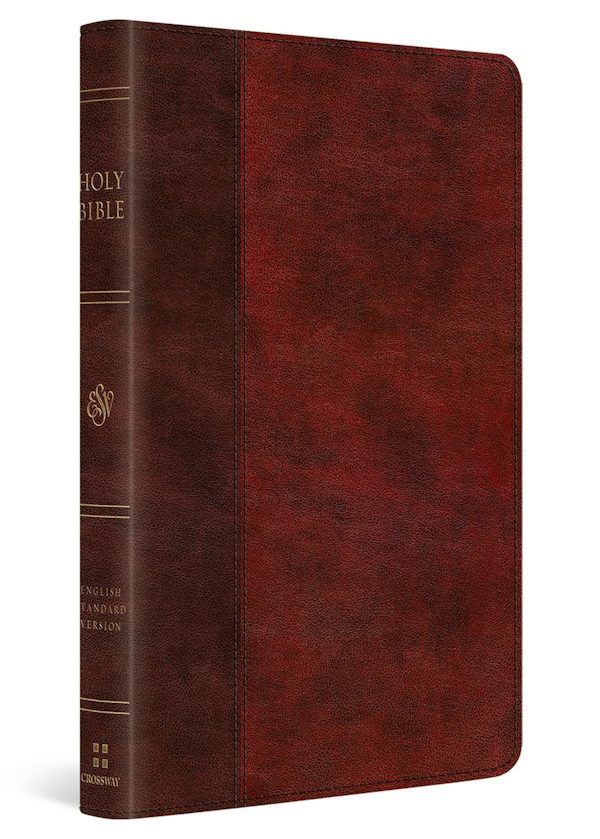 Cover image for ESV Large Print Thinline Bible (Trutone, Burgundy/Red, Timeless Design), isbn: 9798874906696