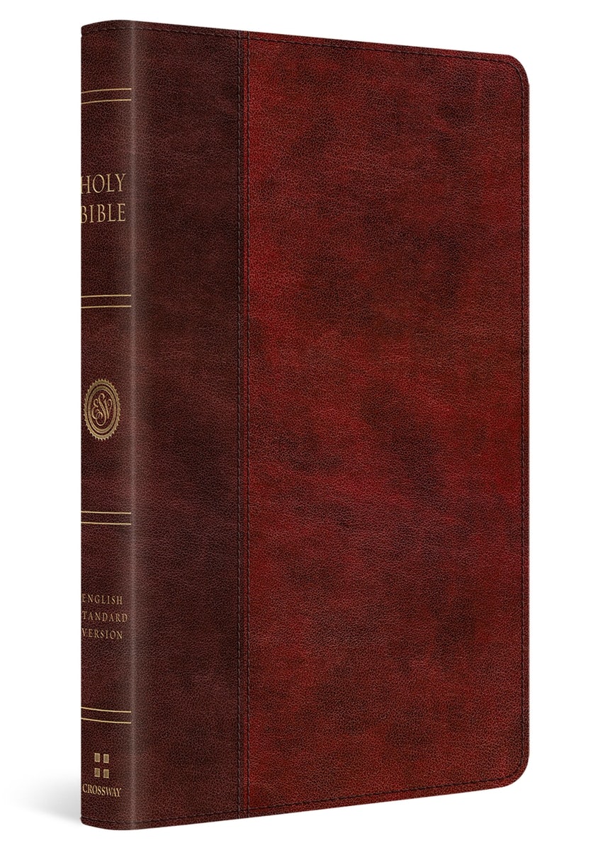 Cover image for ESV Large Print Thinline Bible (Trutone, Burgundy/Red, Timeless Design), isbn: 9798874906696
