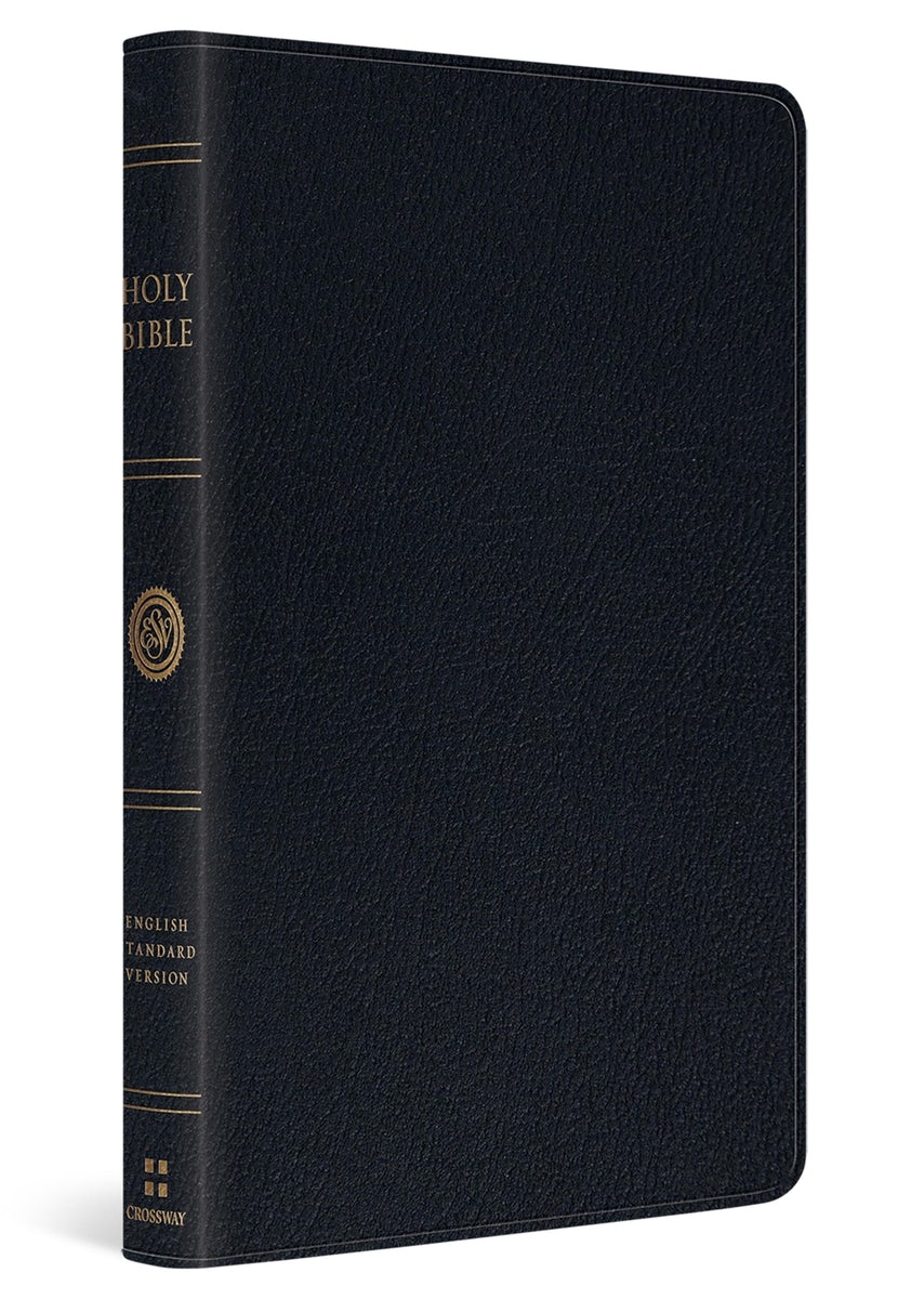 Cover image for ESV Large Print Thinline Bible (Genuine Leather, Black), isbn: 9798874906702