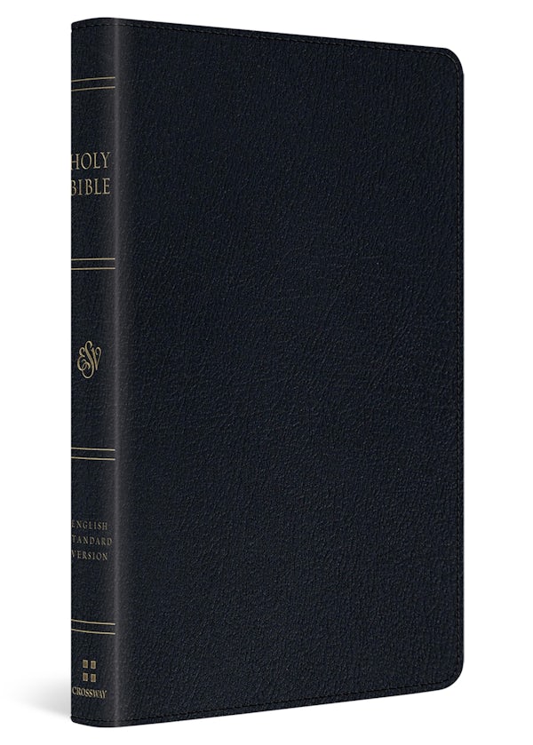 Cover image for ESV Large Print Thinline Bible (Genuine Leather, Black), isbn: 9798874906702