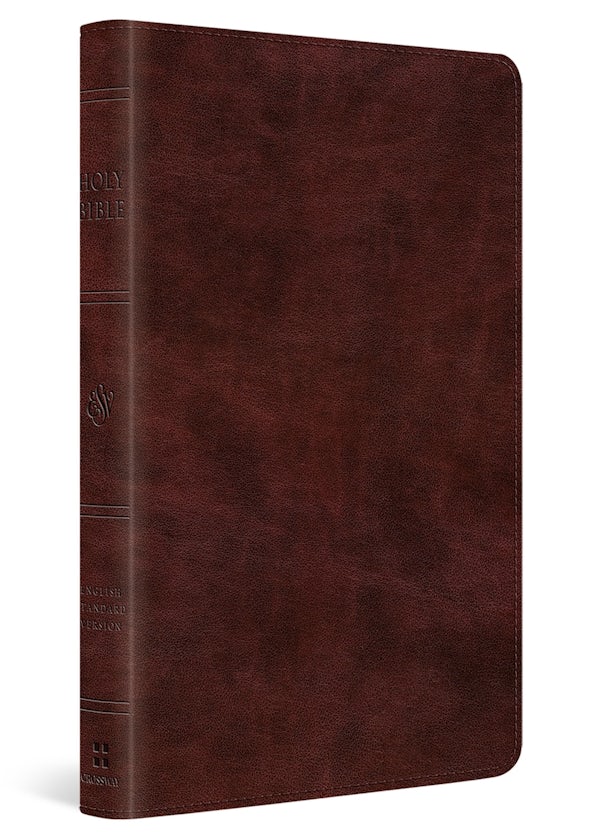 Cover image for ESV Large Print Thinline Bible (Trutone, Mahogany), isbn: 9798874906719