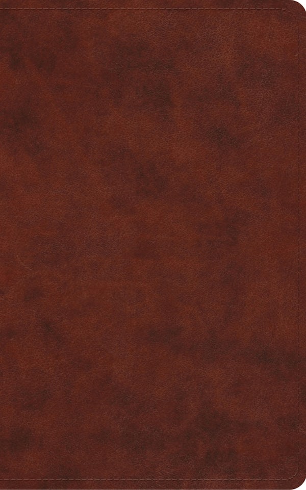 Cover image for ESV Vest Pocket New Testament with Psalms and Proverbs, Red Letter (Trutone, Chestnut), isbn: 9798874907389
