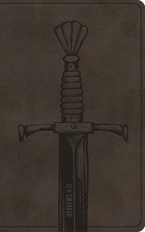 Cover image for ESV Vest Pocket New Testament with Psalms and Proverbs, Red Letter (Trutone, Silver, Sword Design), isbn: 9798874907402