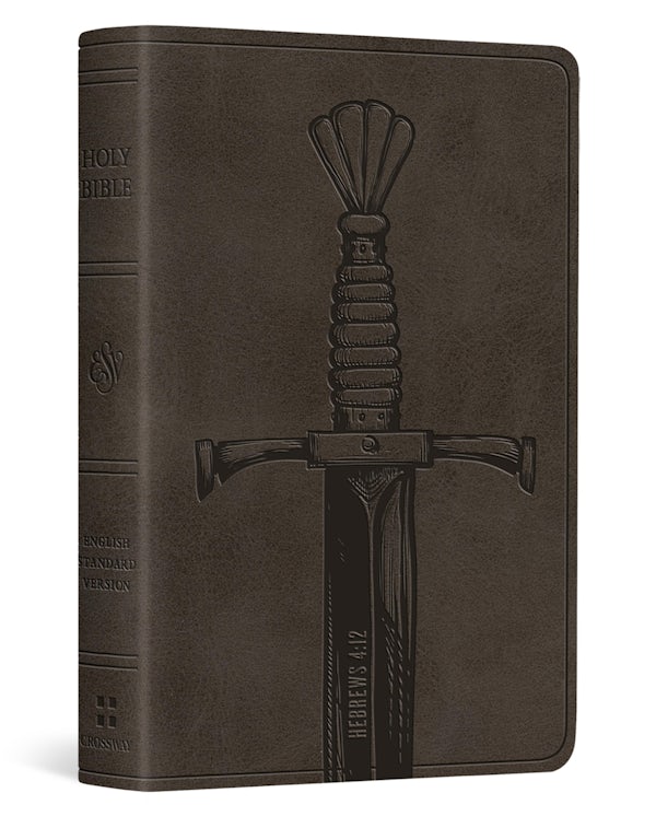 Cover image for ESV Vest Pocket New Testament with Psalms and Proverbs, Red Letter (Trutone, Silver, Sword Design), isbn: 9798874907402