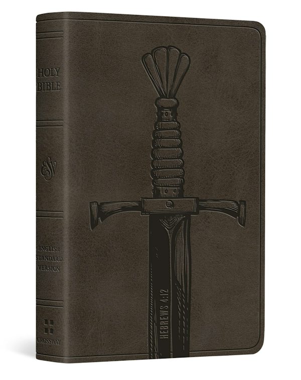 Cover image for ESV Vest Pocket New Testament with Psalms and Proverbs, Red Letter (Trutone, Silver, Sword Design), isbn: 9798874907402