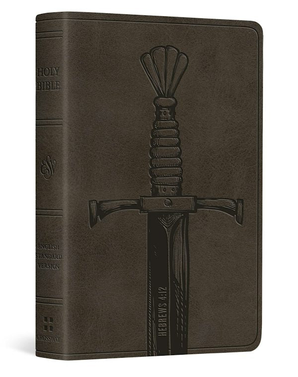 Cover image for ESV Vest Pocket New Testament with Psalms and Proverbs, Red Letter (Trutone, Silver, Sword Design), isbn: 9798874907402