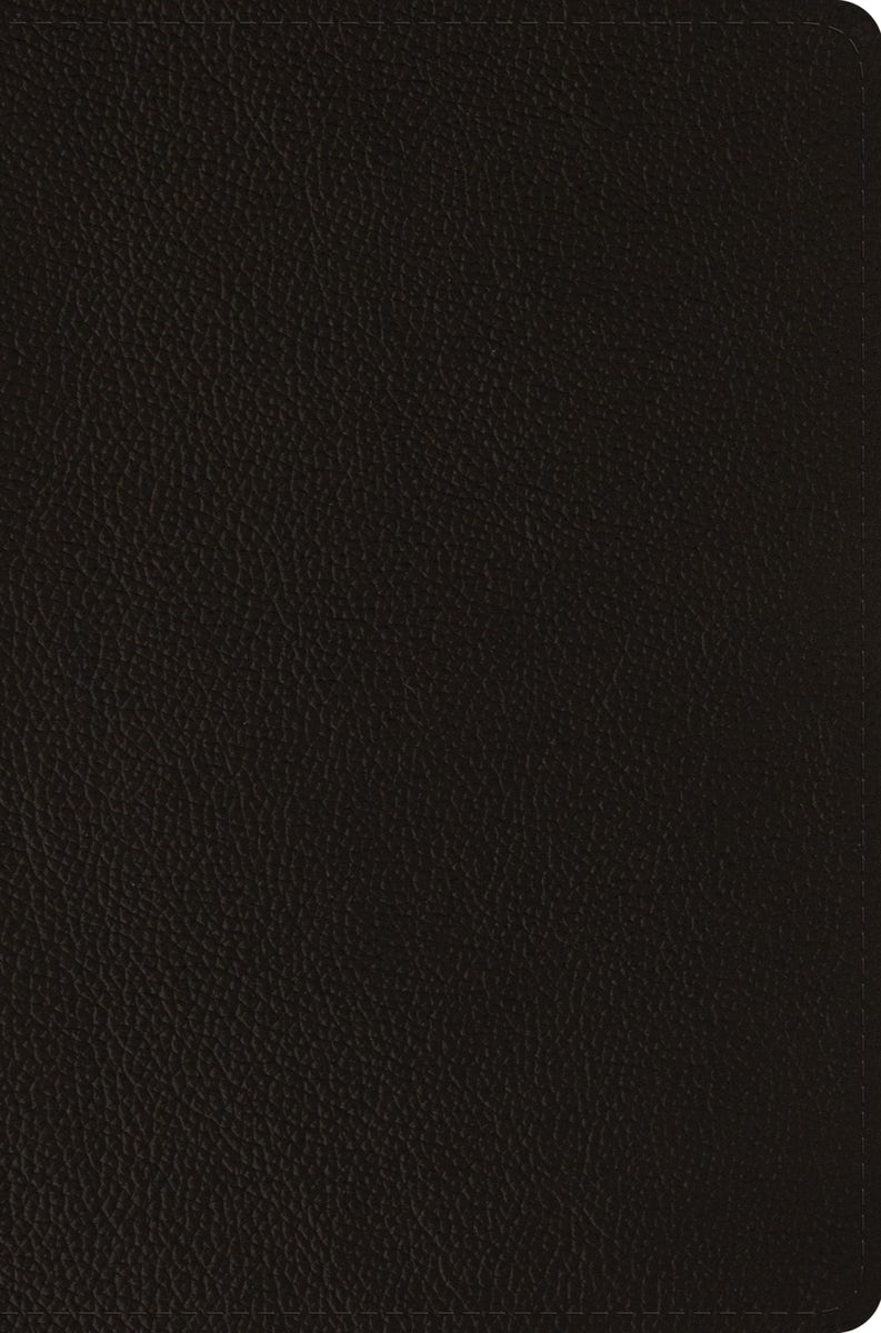 Cover image for ESV Compact Bible (Buffalo Leather, Deep Brown), isbn: 9798874907518