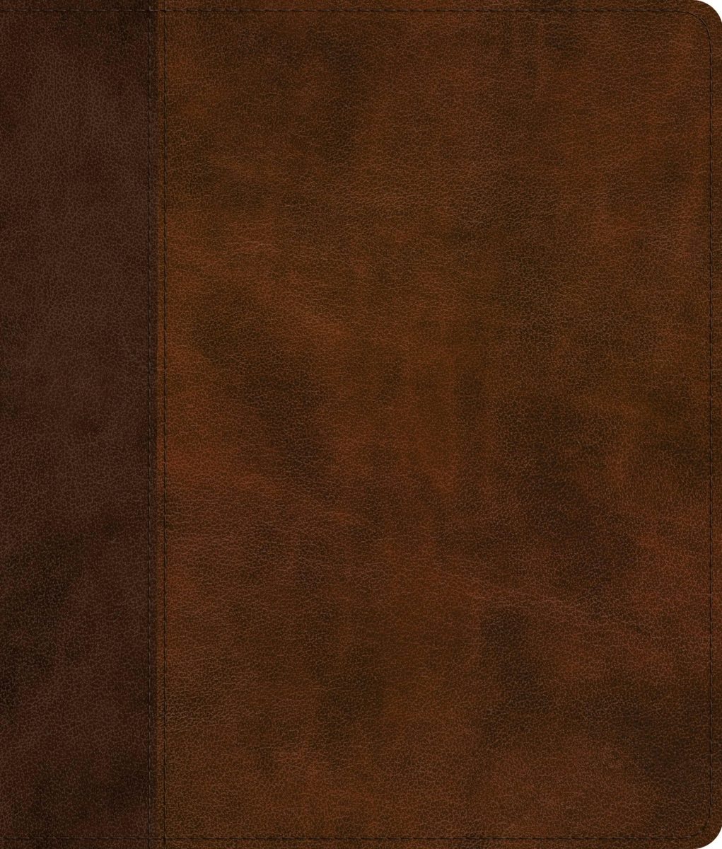Cover image for ESV Journaling Bible (Trutone, Brown/Tan, Timeless Design), isbn: 9798874907587