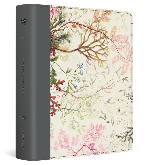 Cover image for ESV Journaling Bible (Printed Trutone, Elegant Grace Design), isbn: 9798874907624