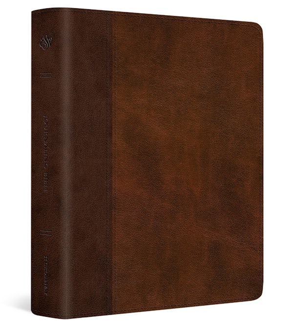 Cover image for ESV Journaling Bible, Red Letter (Trutone, Brown/Tan, Timeless Design), isbn: 9798874907686