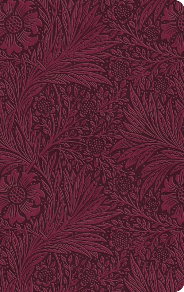 Cover image for ESV Large Print Value Thinline Bible (Trutone, Raspberry, Floral Design), isbn: 9798874907730
