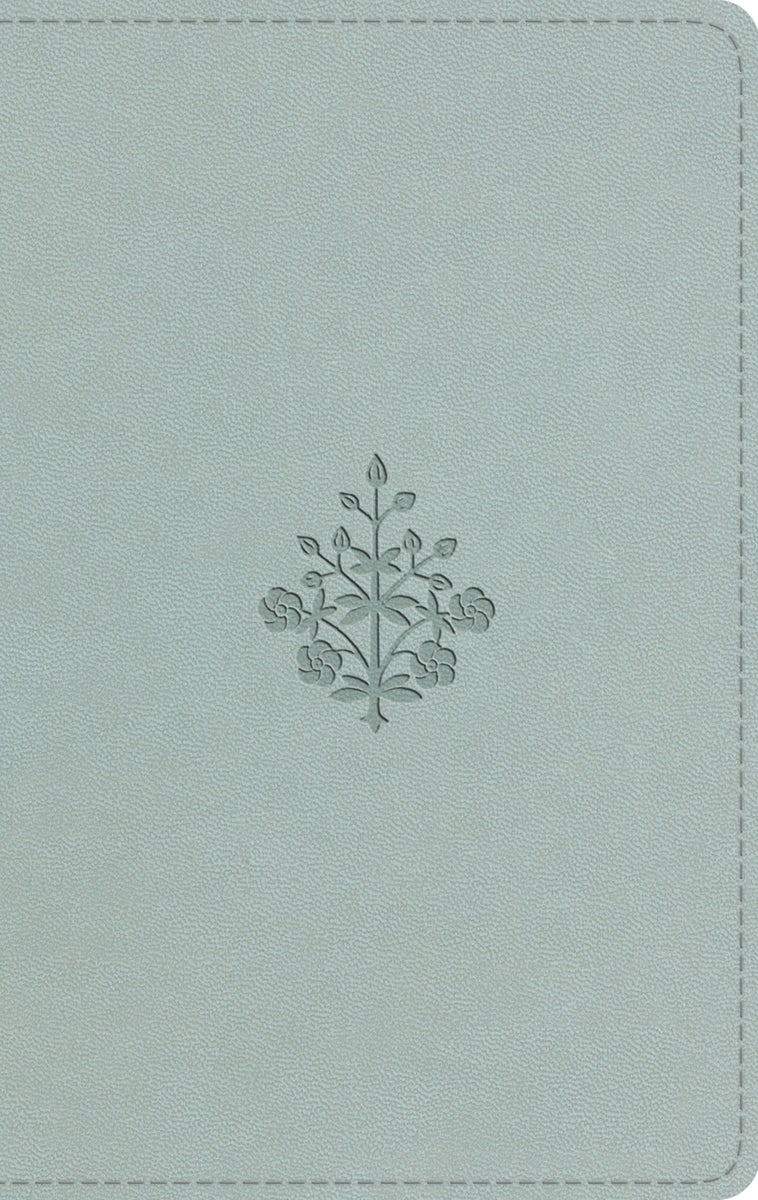 Cover image for ESV Large Print Value Thinline Bible (Trutone, River Stone, Branch Design), isbn: 9798874907754