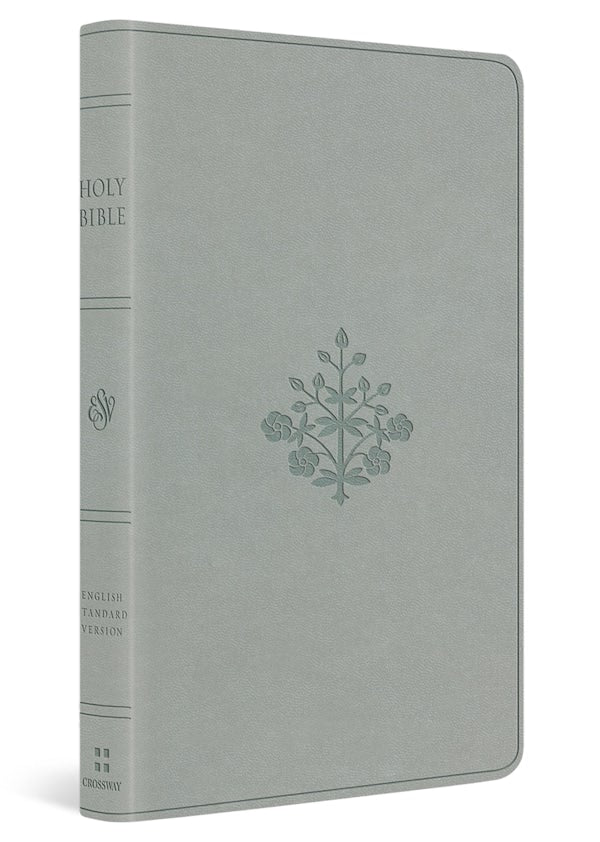 Cover image for ESV Large Print Value Thinline Bible (Trutone, River Stone, Branch Design), isbn: 9798874907754