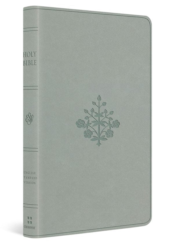 Cover image for ESV Large Print Value Thinline Bible (Trutone, River Stone, Branch Design), isbn: 9798874907754