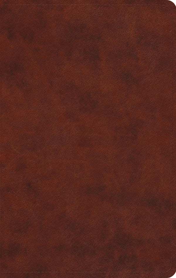 Cover image for ESV Large Print Value Thinline Bible (Trutone, Chestnut), isbn: 9798874907808