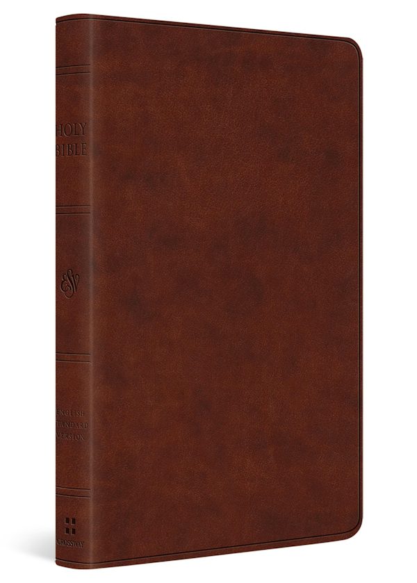 Cover image for ESV Large Print Value Thinline Bible (Trutone, Chestnut), isbn: 9798874907808