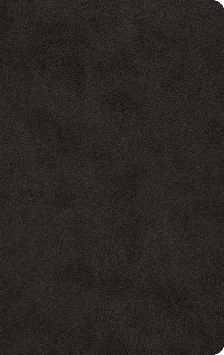 Cover image for ESV Large Print Value Thinline Bible (Trutone, Black), isbn: 9798874907815