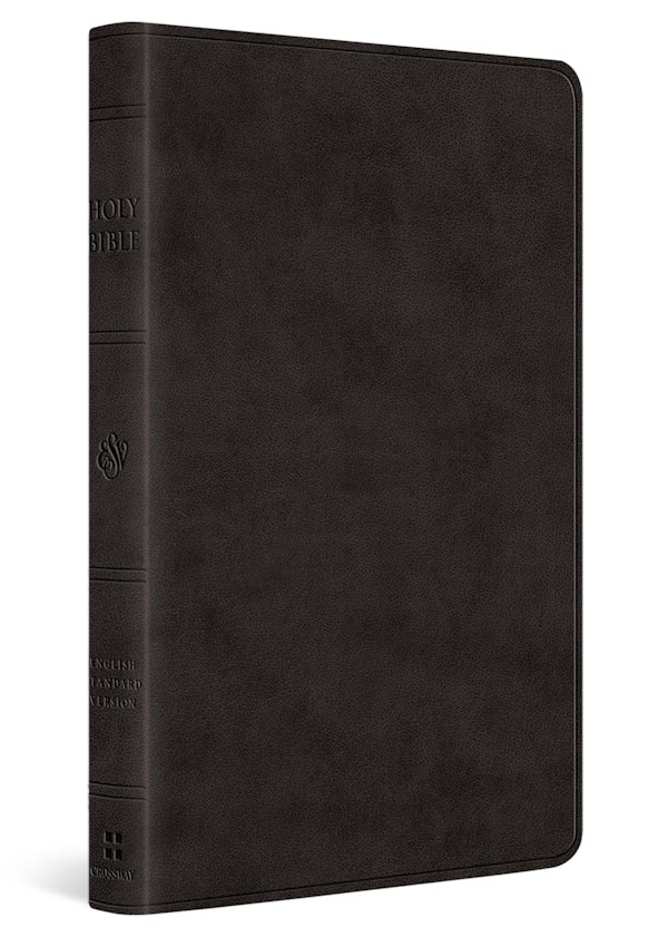 Cover image for ESV Large Print Value Thinline Bible (Trutone, Black), isbn: 9798874907815