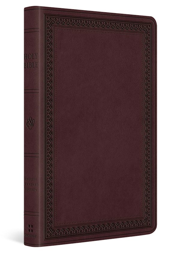 Cover image for ESV Large Print Value Thinline Bible (Trutone, Mahogany, Border Design), isbn: 9798874907822