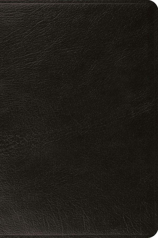 Cover image for ESV Large Print Bible (Top Grain Leather, Black), isbn: 9798874907969