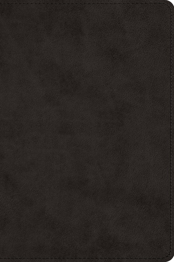 Cover image for ESV Large Print Bible (Trutone, Black), isbn: 9798874907976