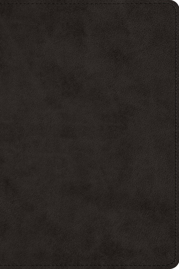 Cover image for ESV Large Print Bible (Trutone, Black), isbn: 9798874907976