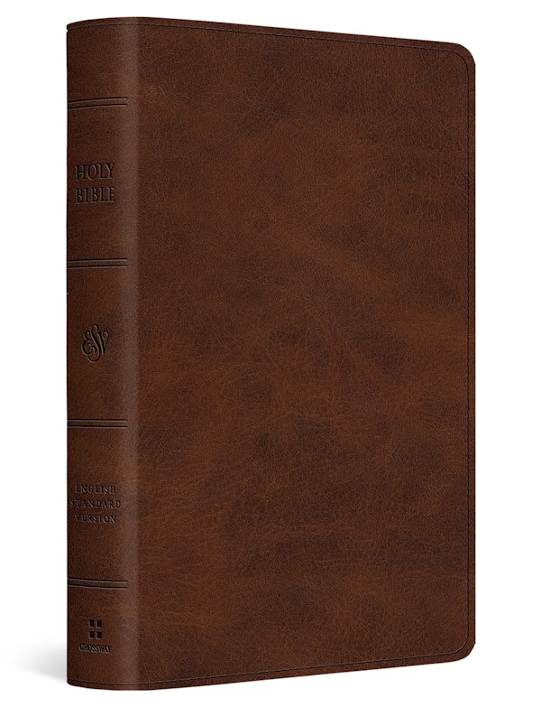 Cover image for ESV Large Print Bible (Trutone, Deep Brown), isbn: 9798874907983