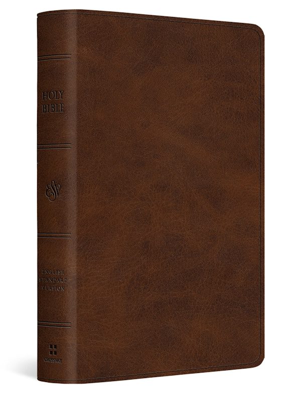 Cover image for ESV Large Print Bible (Trutone, Deep Brown), isbn: 9798874907983