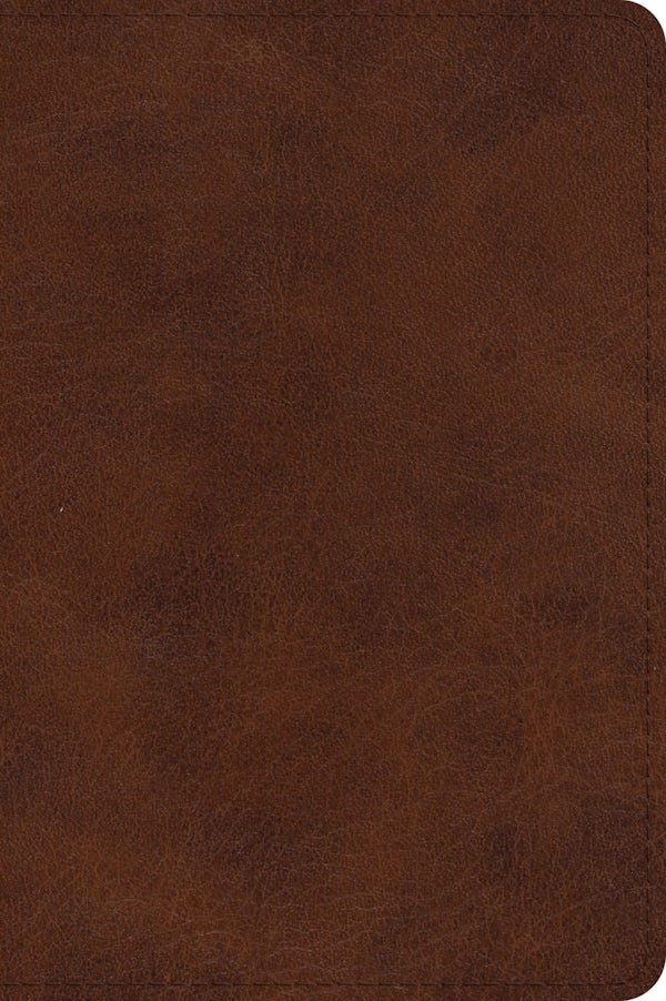 Cover image for ESV Large Print Bible (Trutone, Deep Brown), isbn: 9798874907983