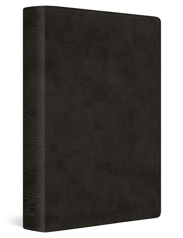 Cover image for ESV Giant Print Value Thinline Bible (Trutone, Black), isbn: 9798874908935